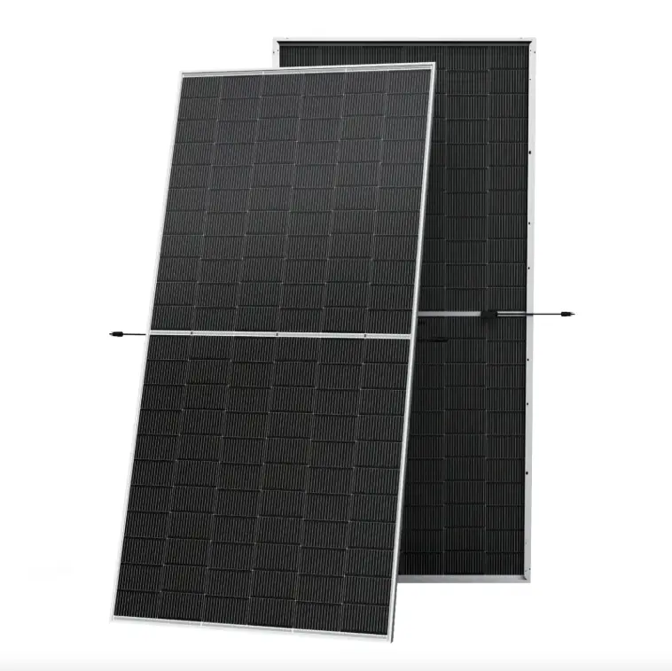 Trina Solar Bifacial — вигляд лицьової та тильної сторони панелі